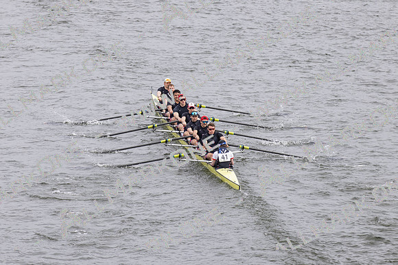HORR1293