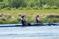 CUP01271