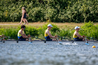 NCM01299