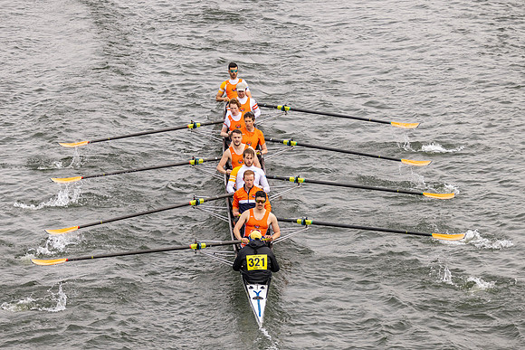 HORR8338