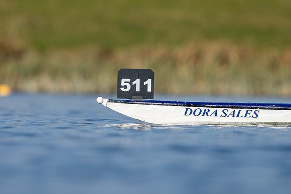 AAA09871