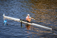HRF06317
