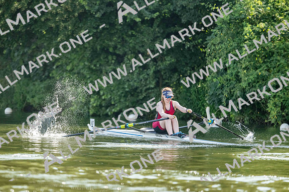 8WL_2642