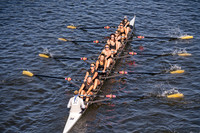 HRF03450