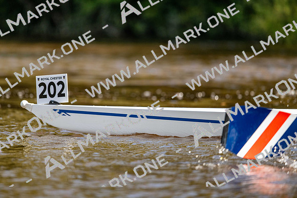 8WL_2697