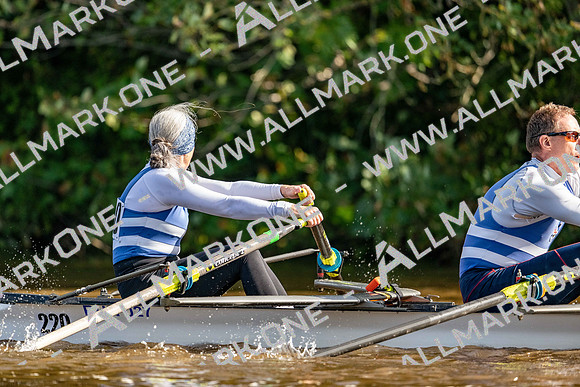 8WL_3175