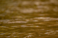 8WL_3821