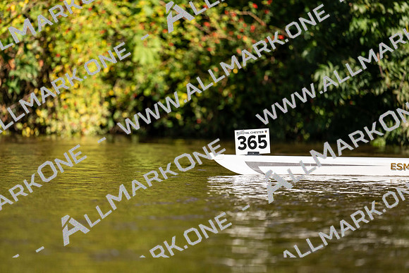 8WL_6035