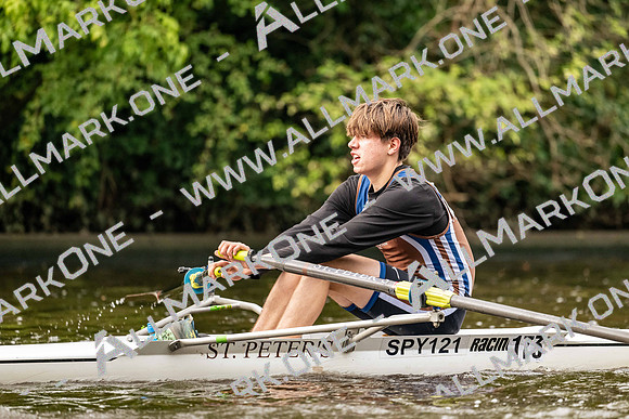 8WL_2881