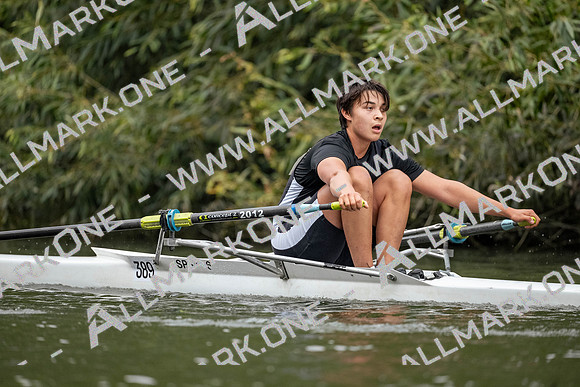 SES06254