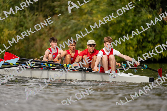 SES04448