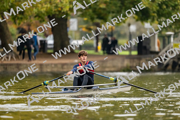 Bedford Autumn Division 1-2079