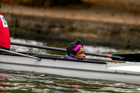 Bedford Autumn Division 2-404