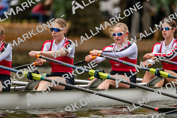 Bedford Autumn Division 3-346