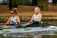 Bedford Autumn Division 6-504