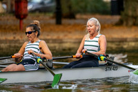 Bedford Autumn Division 6-503