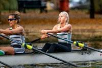 Bedford Autumn Division 6-501