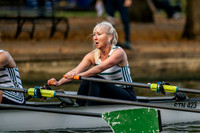 Bedford Autumn Division 6-497