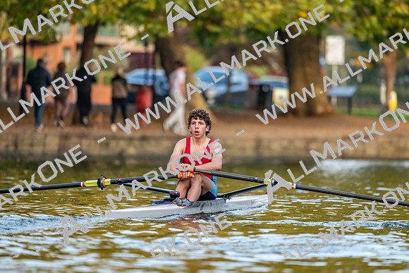 Bedford Autumn Division 6-1335