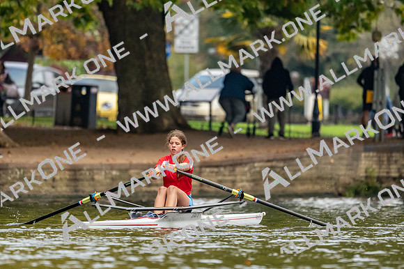Bedford Autumn Division 5-2551