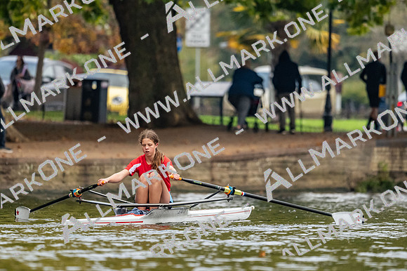 Bedford Autumn Division 5-2549