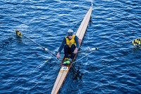 HCW00510