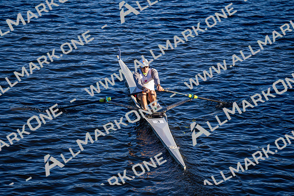 HCW01106