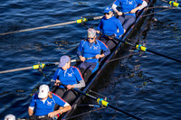 HCV01310