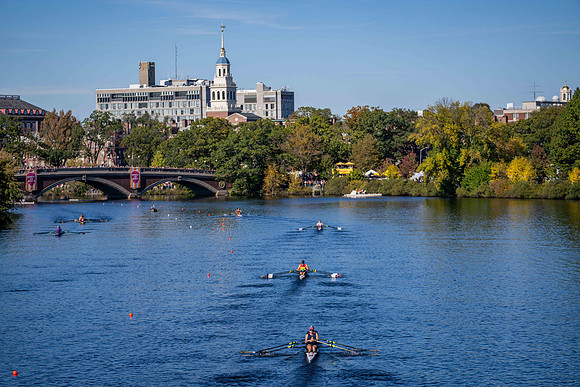 HCV04833