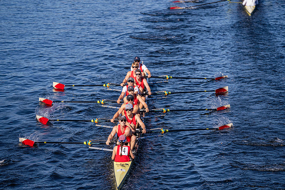 HCV04071