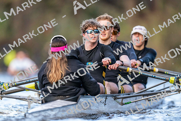 York SBH Div 1-1179