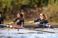 York SBH Div 1-3312
