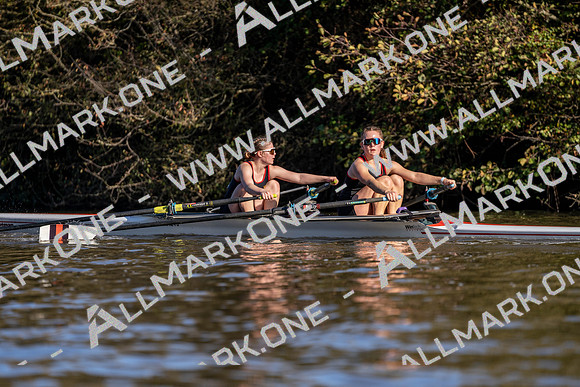 GAH00867
