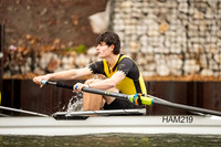 HAM02646