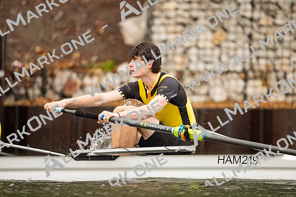 HAM02646