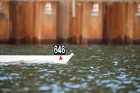 Op 2- (646-657)