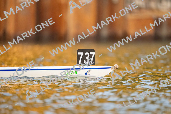 HAM08091