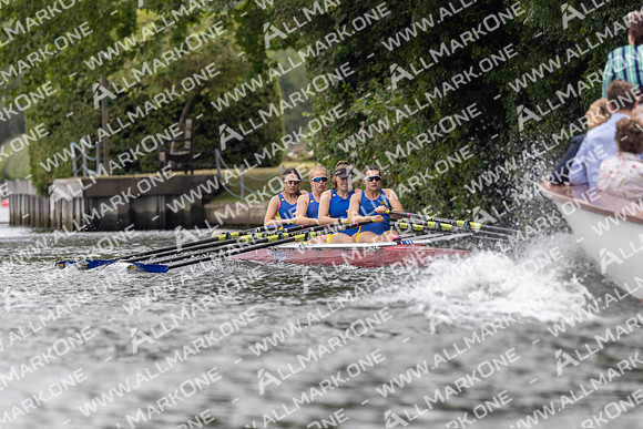 MHWR4319