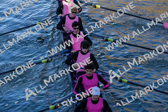 HAM08981