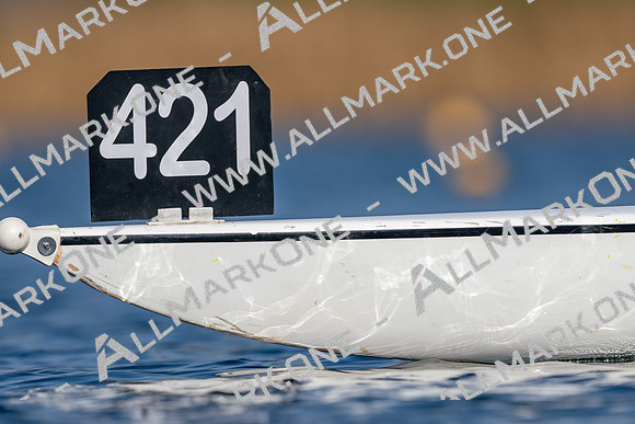 AAA08652