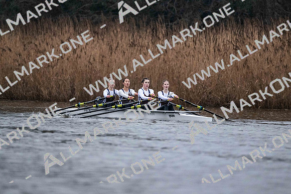 Junior Head North Div 2-4317