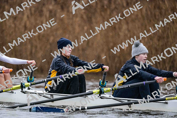 Junior Head North Div 2-4399