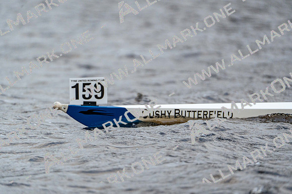 NY-Div2-03788