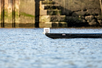 Bank