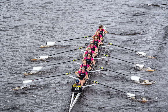 BUCS-HEAD-BRIDGE-DIV1-00610