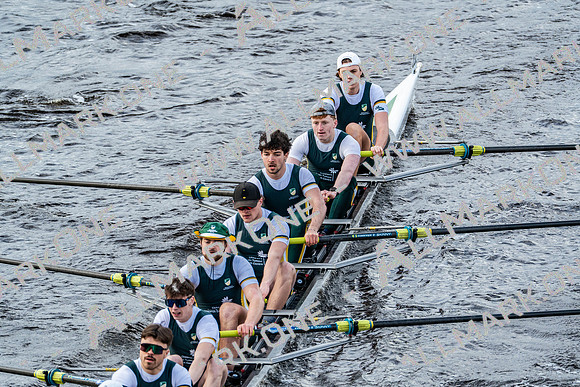 BUCS-HEAD-BRIDGE-DIV2-04947