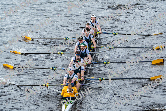 BUCS-HEAD-BRIDGE-DIV2-04957