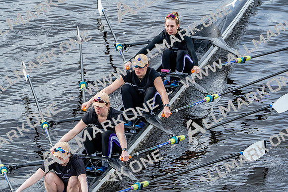BUCS-HEAD-BRIDGE-DIV2-05197
