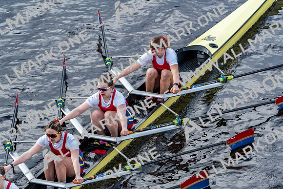 BUCS-HEAD-BRIDGE-DIV2-05330