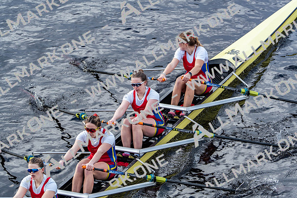 BUCS-HEAD-BRIDGE-DIV2-05332